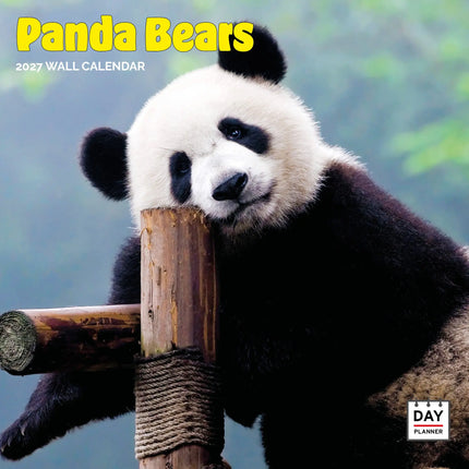 Dayplanner Panda Kalender 2026