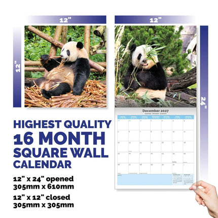 Dayplanner Panda Kalender 2026