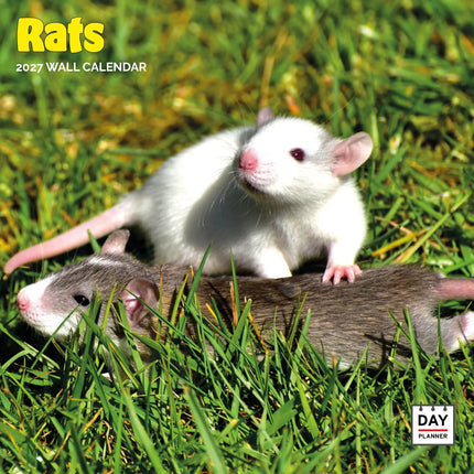 Dayplanner Ratten Kalender 2026