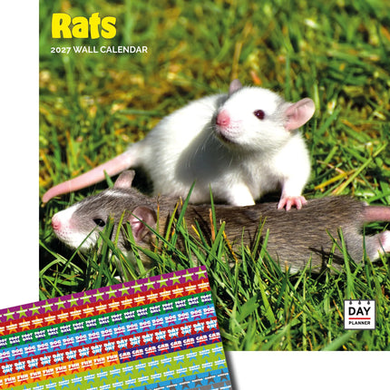 Dayplanner Ratten Kalender 2026