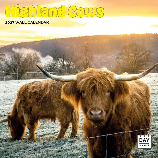 Dayplanner Schotse Hooglanders Kalender 2027