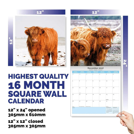 Dayplanner Schotse Hooglanders Kalender 2027