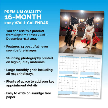 Dayplanner Strictly Dogs Dancing Kalender 2026