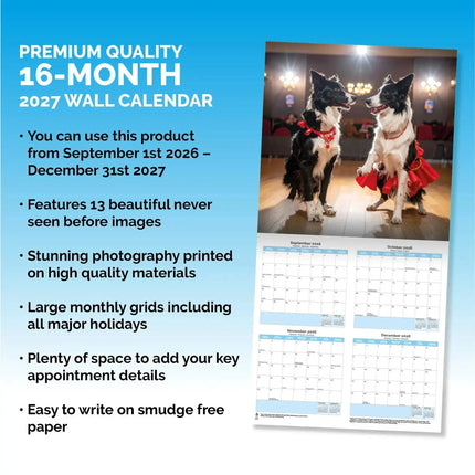 Dayplanner Strictly Dogs Dancing Kalender 2027