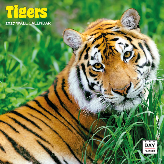 Dayplanner Tijger Kalender 2027