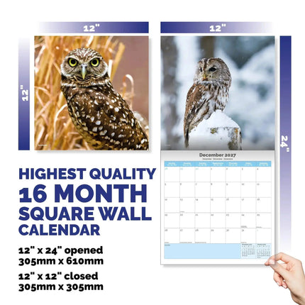 Dayplanner Uilen Kalender 2027
