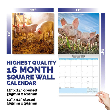 Dayplanner Varken Kalender 2027