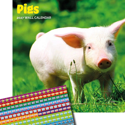 Dayplanner Varken Kalender 2027