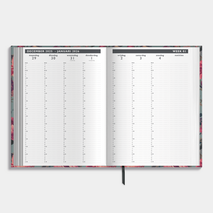 De Hobbit A4 Afsprakenagenda 2027 Roos Klassiek