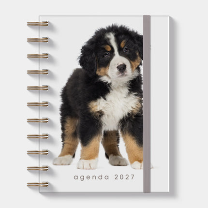 De Hobbit A6 Spiraal Agenda 2027 Honden