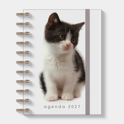 De Hobbit A6 Spiraal Agenda 2027 Katten