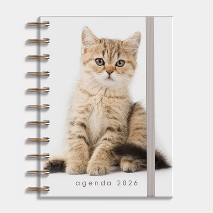 De Hobbit A6 Spiraal Agenda Katten 2026
