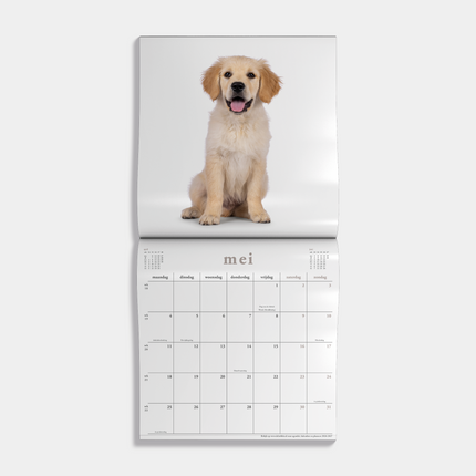 De Hobbit Honden Kalender 2026