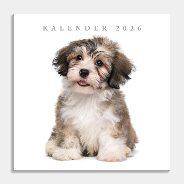 De Hobbit Honden Kalender 2026