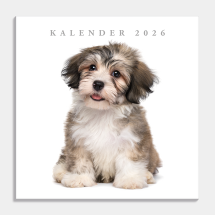 De Hobbit Honden Kalender 2026