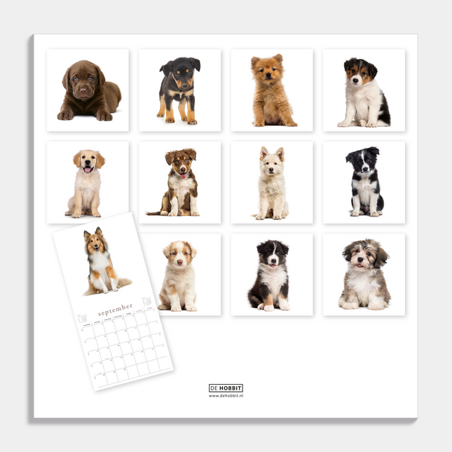 De Hobbit Honden Kalender 2026
