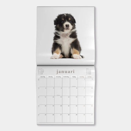De Hobbit Honden Kalender 2027