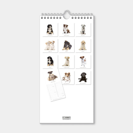 De Hobbit Honden Mini Kalender 2027