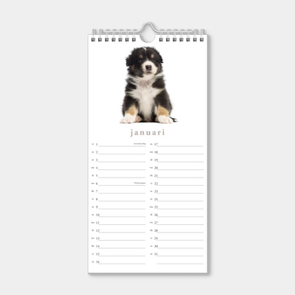 De Hobbit Honden Mini Kalender 2027