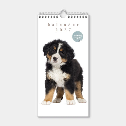 De Hobbit Honden Mini Kalender 2027