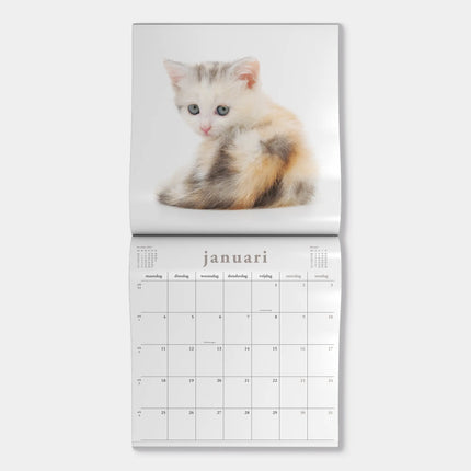 De Hobbit Katten Kalender 2027
