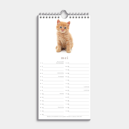 De Hobbit Katten Mini Kalender 2027