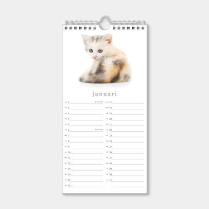 De Hobbit Katten Mini Kalender 2027