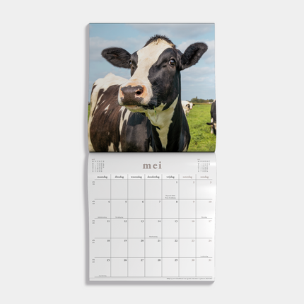 De Hobbit Koeien Kalender 2026