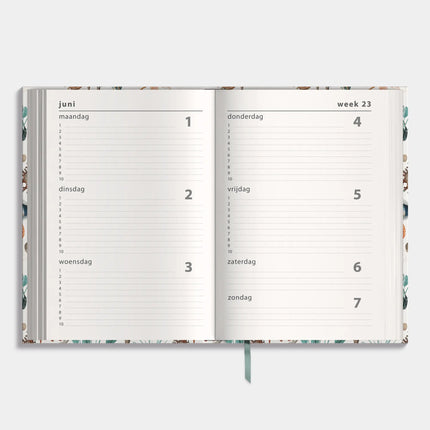 De Hobbit Luxe Schoolagenda 2026-2027 ±A5 Oceaan