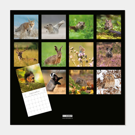 De Hobbit Natuur Kalender 2027