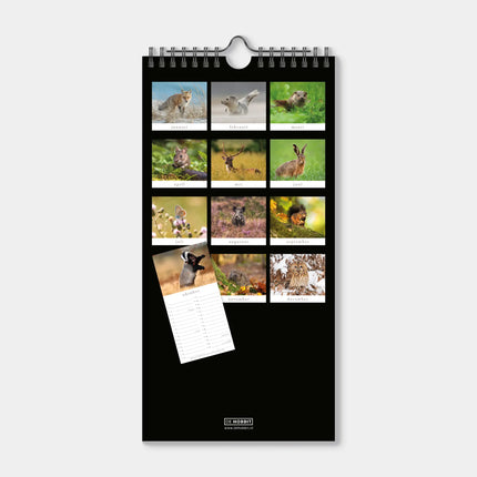 De Hobbit Natuur Mini Kalender 2027