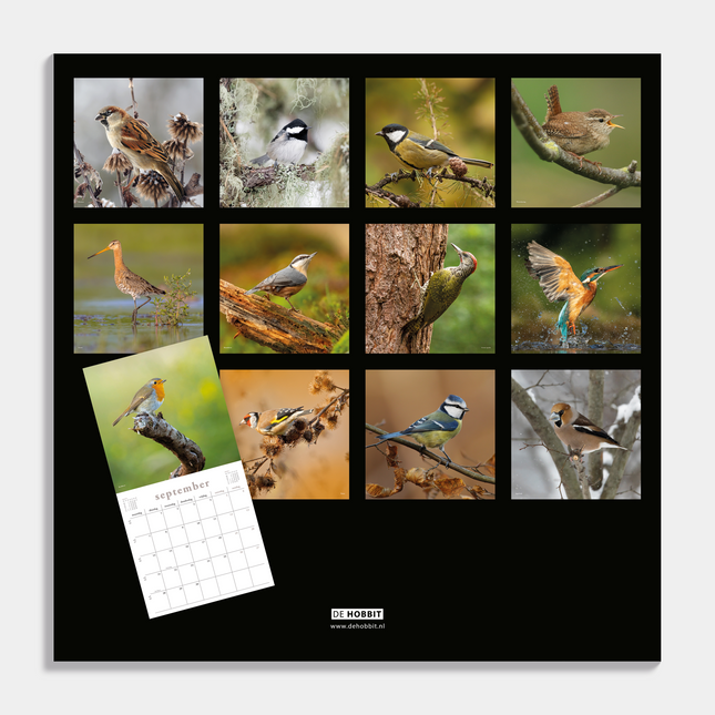 De Hobbit Vogel Kalender 2026