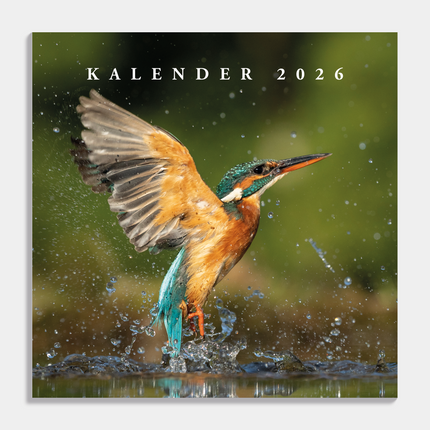 De Hobbit Vogel Kalender 2027
