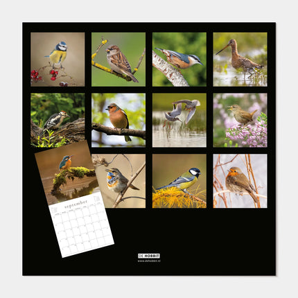 De Hobbit Vogel Kalender 2027