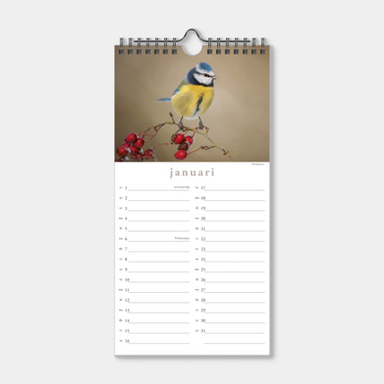 De Hobbit Vogels Mini Kalender 2027
