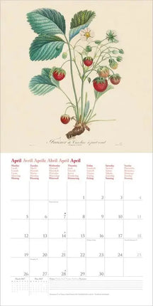 Dumont Fruits Kalender 2027