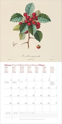 Dumont Fruits Kalender 2027