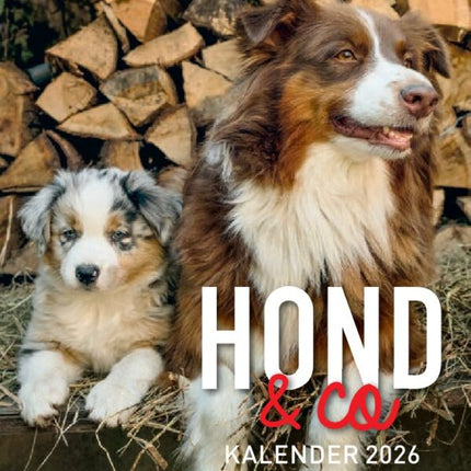 Edicola Hond & Co Scheurkalender 2026