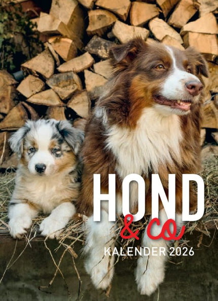 Edicola Hond & Co Scheurkalender 2026