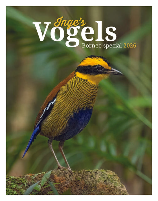 Edicola Inge’s Vogels Agenda 2026
