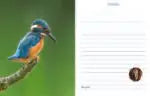Edicola Inge’s Vogels Agenda 2027