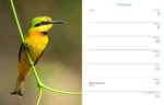 Edicola Inge’s Vogels Agenda 2027
