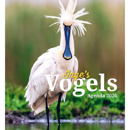 Edicola Inge’s Vogels Agenda 2027