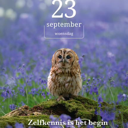 Edicola Mind & Spirit Scheurkalender 2026