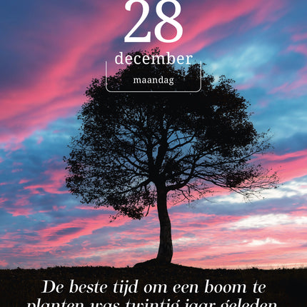 Edicola Mind & Spirit Scheurkalender 2026