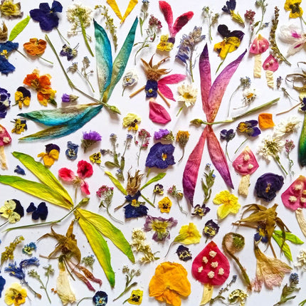 Enjoy Fairies and Dragonflies Puzzel 1000 Stukjes