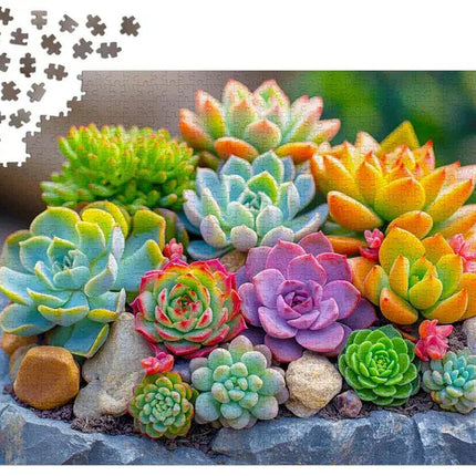Enjoy Succulents Puzzel 1000 Stukjes