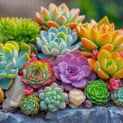 Enjoy Succulents Puzzel 1000 Stukjes