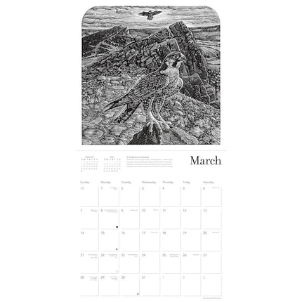 Flame Tree Andy English Kalender 2027