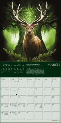 Flame Tree Anne Stokes Kalender 2027 Mini